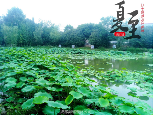 夏至｜讓我們和盛夏美景撞個滿懷(1)126