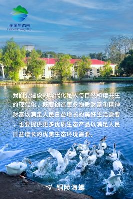 全國生態日海報-銅陵海螺