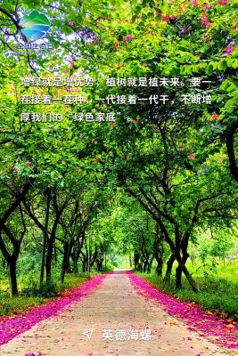 全國生態日海報-英德海螺