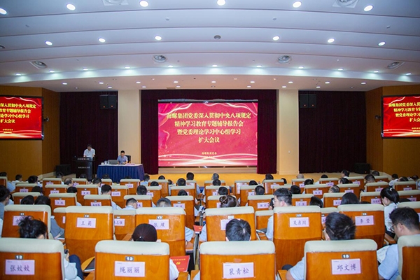 海螺集團黨委召開深入貫徹中央八項規定精神學習教育專題輔導報告會暨黨委理...